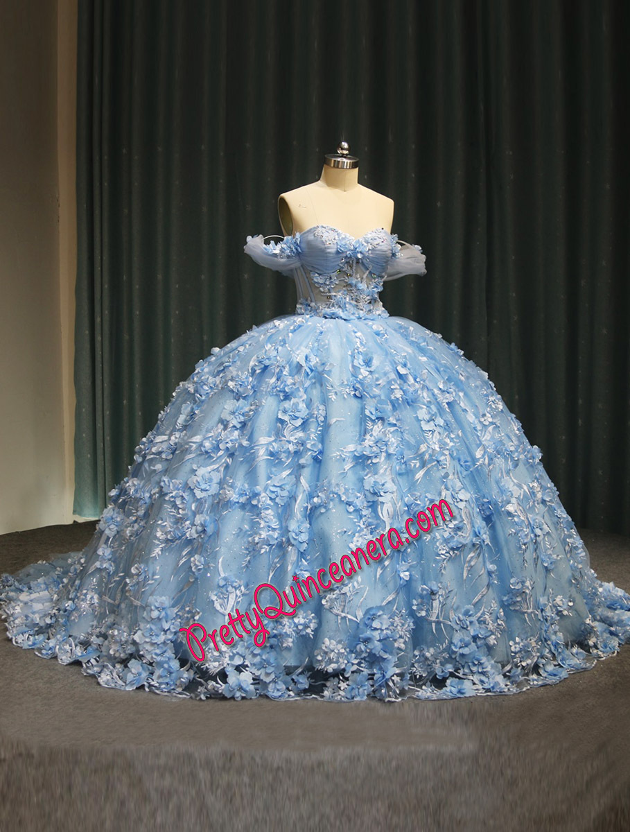 Sky Blue Three-dimensional Floral Lace Beade Top Ball Gown Quinceanera with Train
